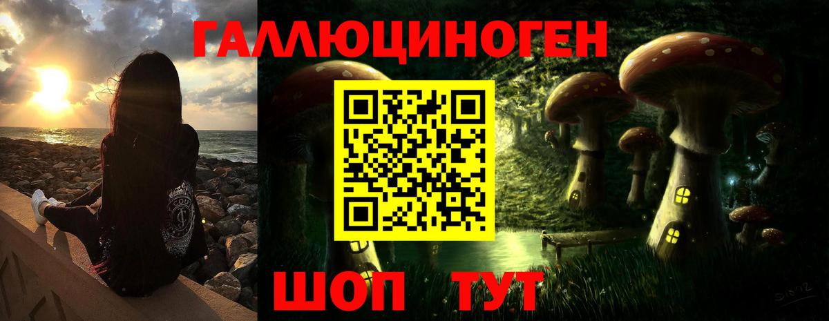 Галлюциногенные грибы Psilocybe  Вход с VPN  Галлюциногенные грибы Psilocybine cubensis  Буйнакск 